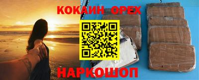 гашик Кингисепп