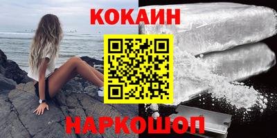 гашик Кингисепп
