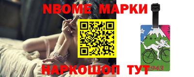 гашик Кингисепп