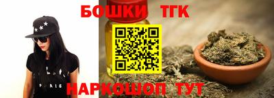 гашик Кингисепп