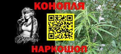 спайс Кинель