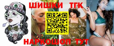 гашик Кингисепп