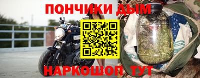 дурь Камышлов