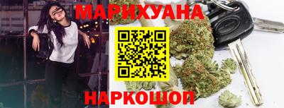 гашик Кингисепп