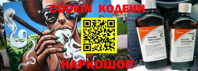 гашик Кингисепп