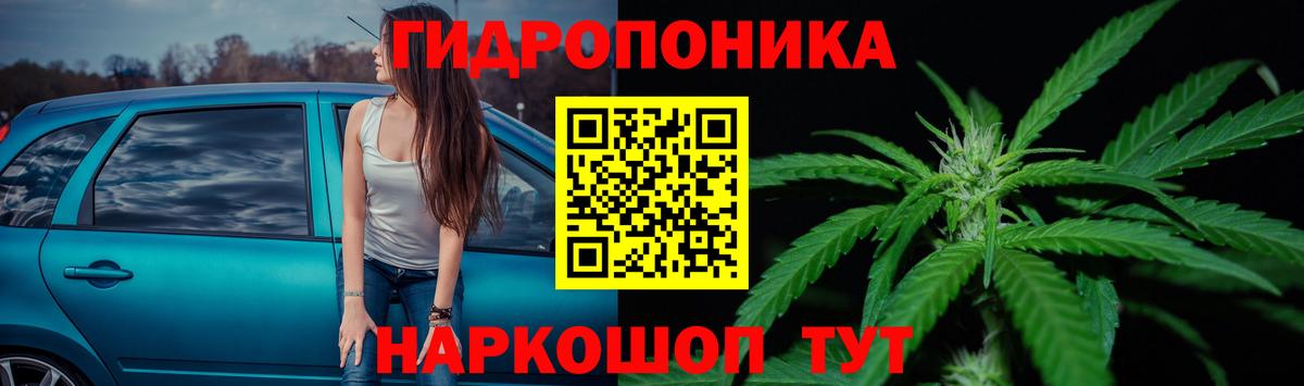 Каннабис семена  МАРИХУАНА марихуана  Курчалой  Вход с VPN  Канабис THC 21% 